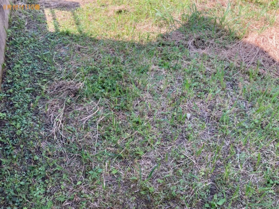 物置の解体作業と物置、物置の中身の回収・処分ご依頼　お客様の声